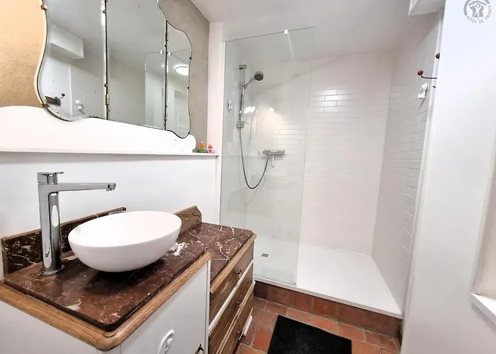 Authentique Avec Jardin Et Animaux Admis - Fr-1-510-234 *